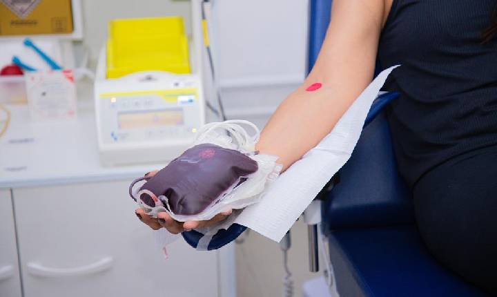 Conheça os requisitos para a doação de sangue
