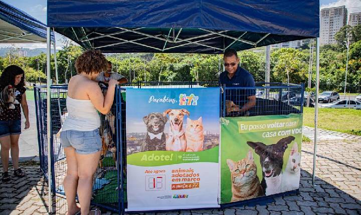 Feiras de adoção de pets de maio começam no feriado do dia 1º de maio