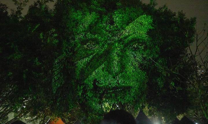 Luzes no parque unem arte, música e conscientização ambiental em Barueri