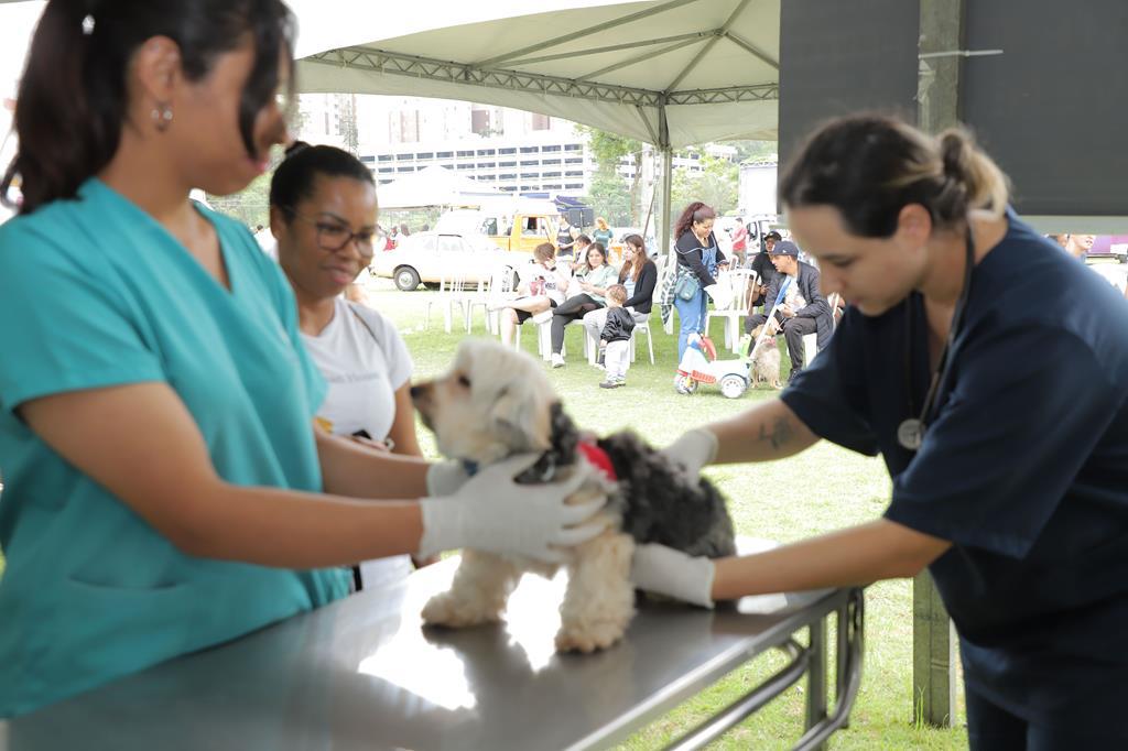 Barueri realiza mais uma edição do Dia Animal no Parque Dom José