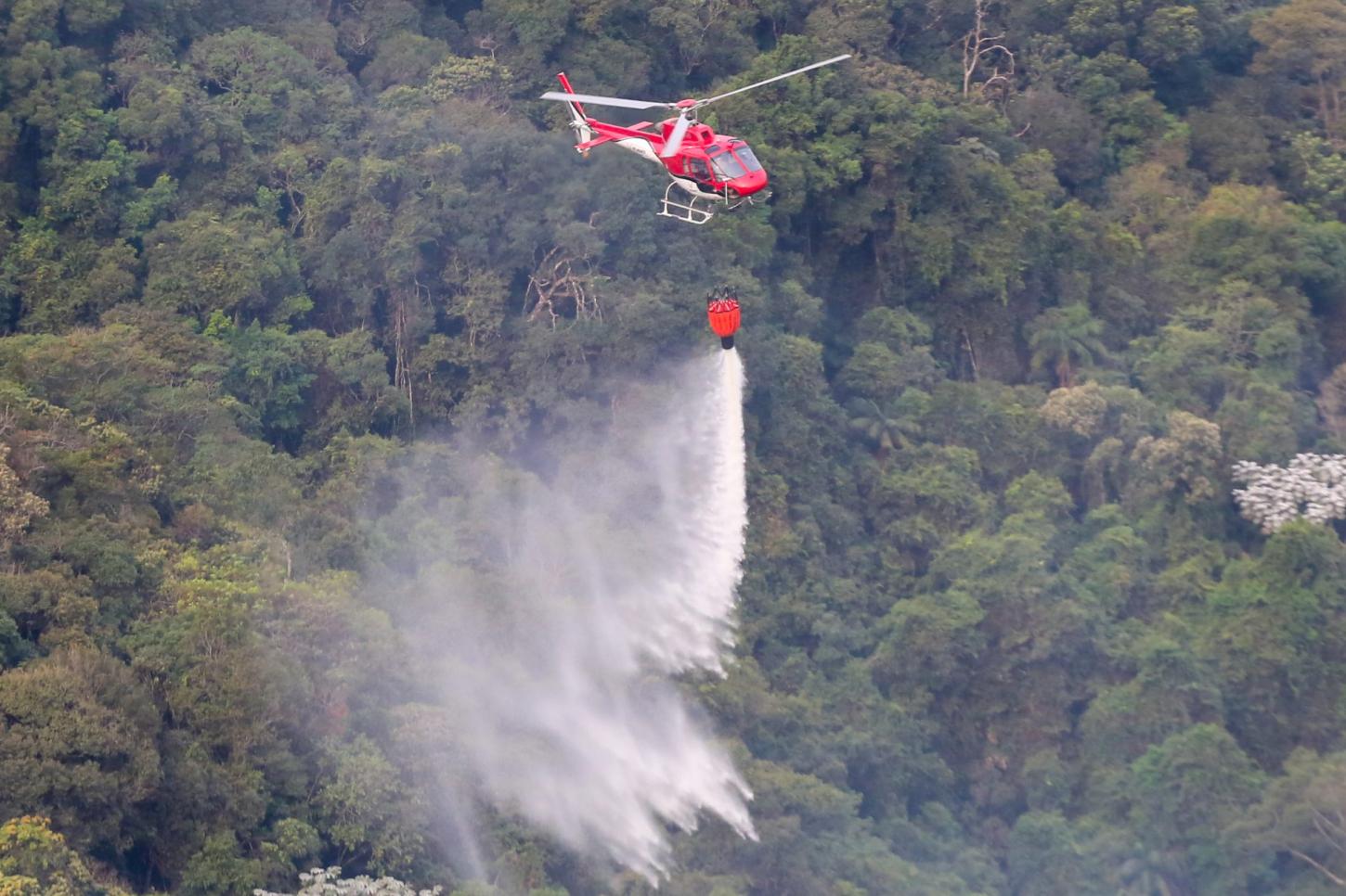 São Paulo tem menor número de focos de incêndio para o mês de junho em 26 anos