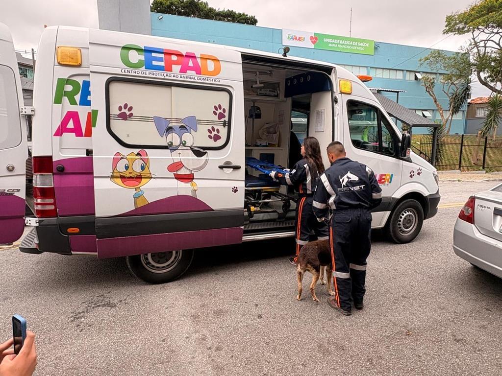 A “Bela” história de superação através do Cepad 2