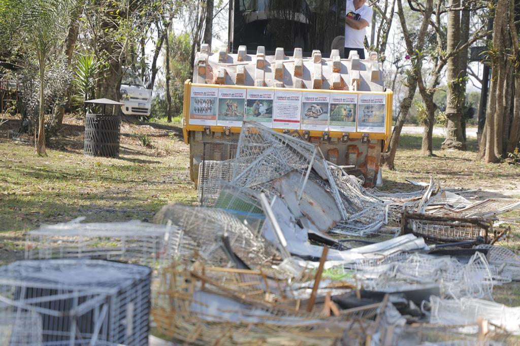 Cetas celebra o Dia Estadual de Combate ao Tráfico de Animais Silvestres