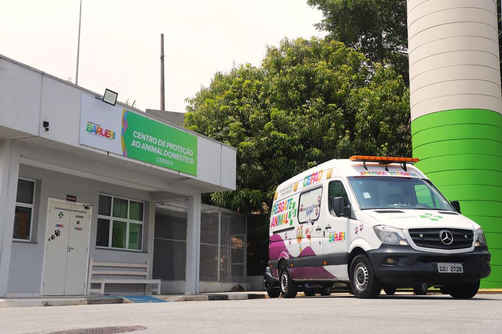 Conheça o Cepad II, local que salva pets e animais de grande porte