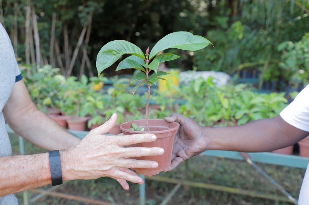 Meio Ambiente em Números: Barueri mostra resultados expressivos em ações sustentáveis