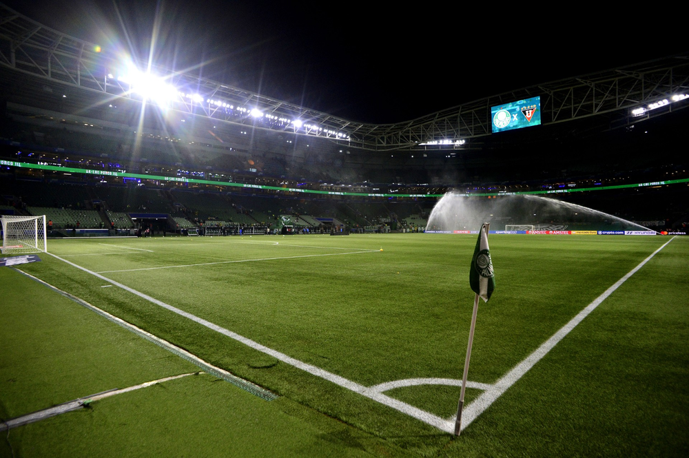 Palmeiras x Santos: onde assistir ao vivo, horário e escalações