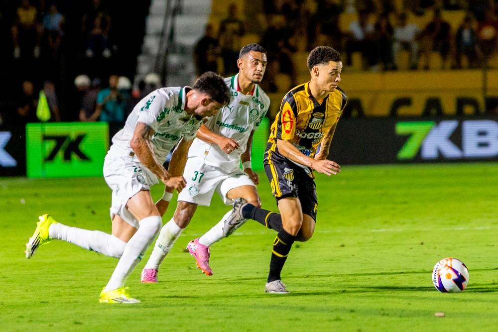 Piquerez pede desculpas ao torcedor do Palmeiras por goleada: 