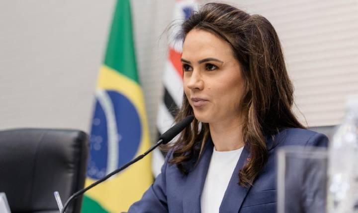 A Presidente da Comissão de Saúde da Alesp Deputada Bruna Furlan lidera ranking de austeridade