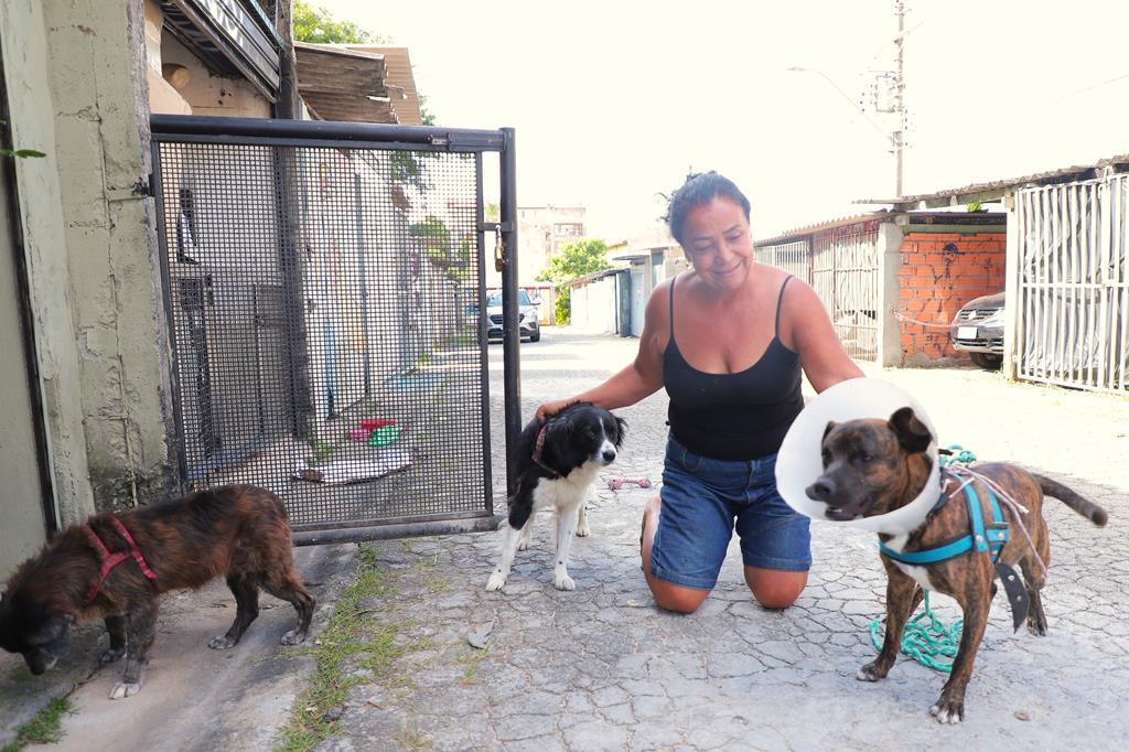 Paixão pelos animais mobiliza moradora do Jardim Paulista