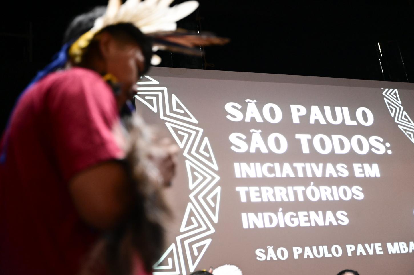 Governo de SP lança diretrizes para escolas estaduais indígenas e material didático